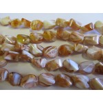 Twisted 17mm x 12mm